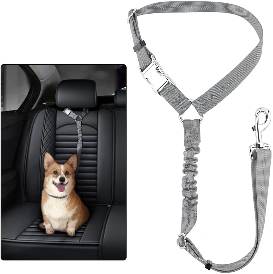 Pet Seat Belts